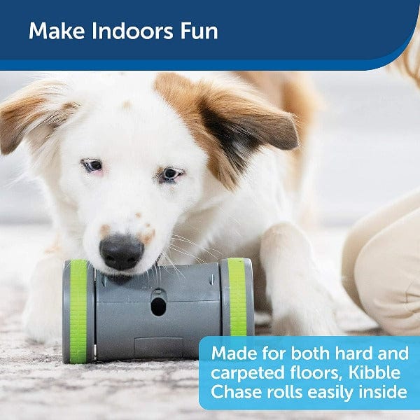 PetSafe Kibble Chase Roaming Treat Dispenser Dog Toy - Image 7