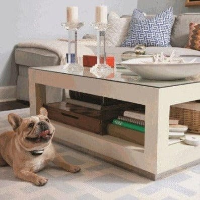 PetSafe Pawz Away Mini Pet Barrier - Image 8