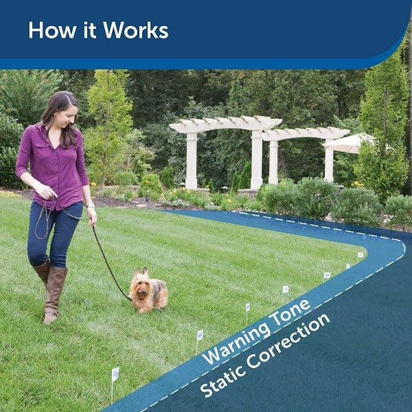 PetSafe Rechargeable In-Ground Fence Receiver Collar - Image 4