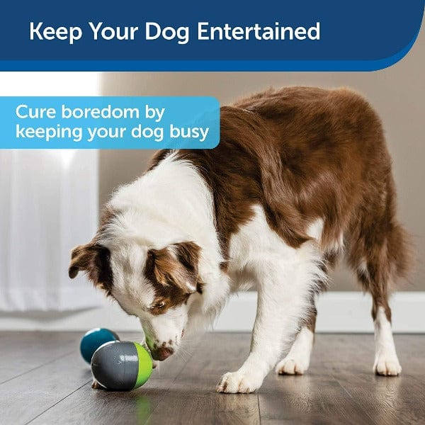 PetSafe Ricochet Electronic Dog Toy - Image 5