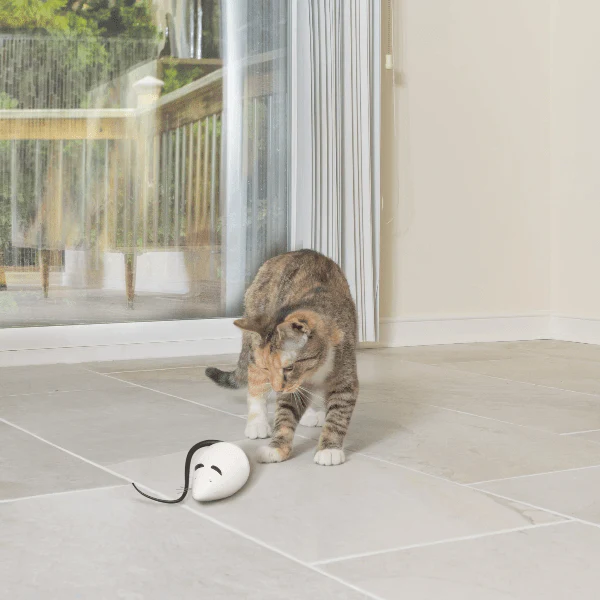 PetSafe RoloRat Automatic Cat Teaser Toy - Image 2