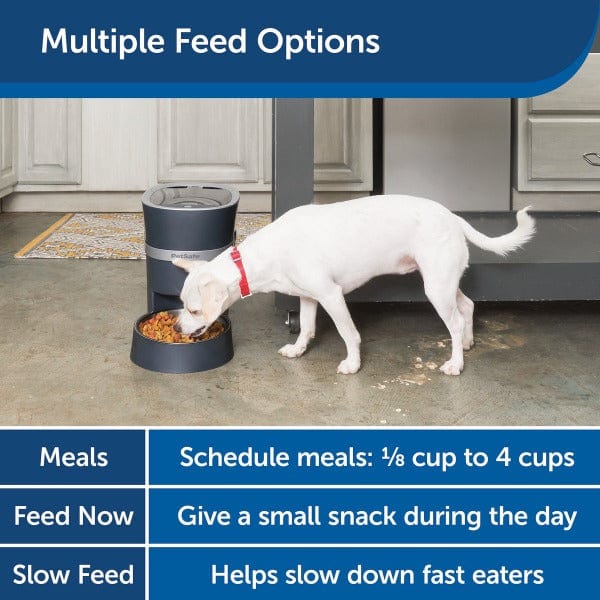 PetSafe Smart Feed Automatic Pet Feeder 2.0 - Image 2