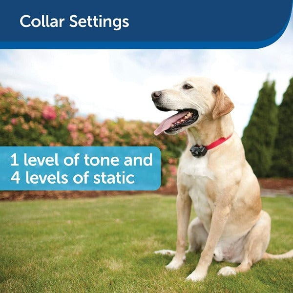 PetSafe Wireless Fence Extra Receiver Collar - Image 3