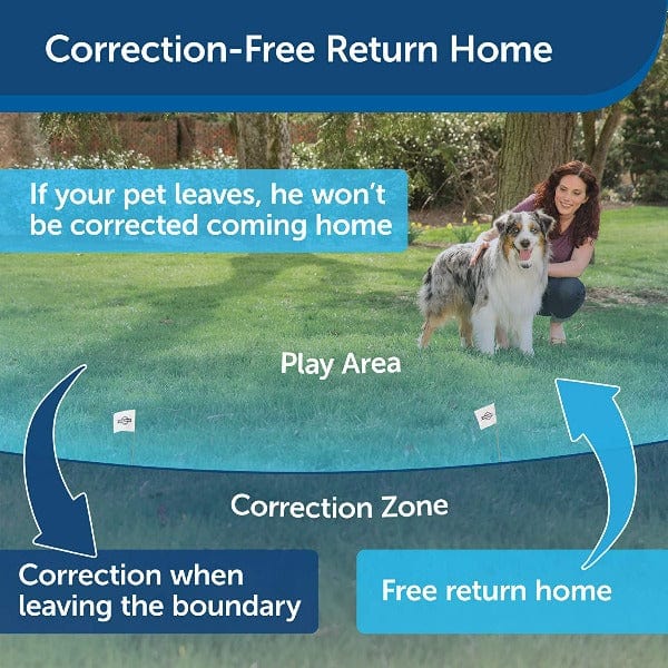 PetSafe Wireless Fence Extra Receiver Collar - Image 4