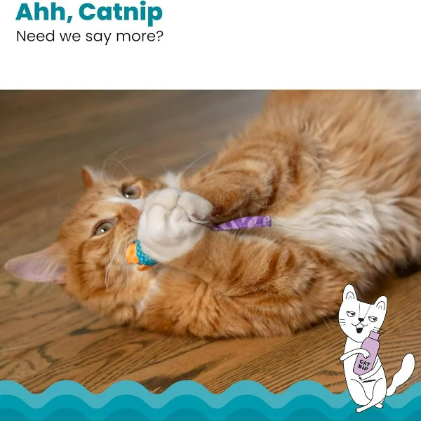 Petstages Catnip Chew Mice Cat Toy - Image 6