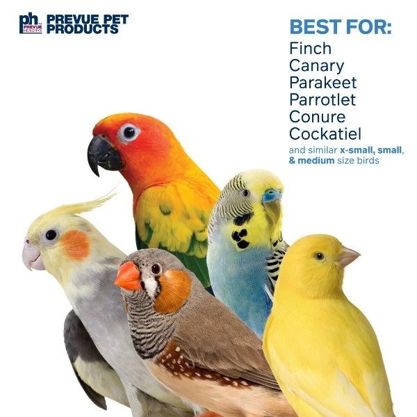 Prevue Pet Products Sunburst Bird Toy - Image 3