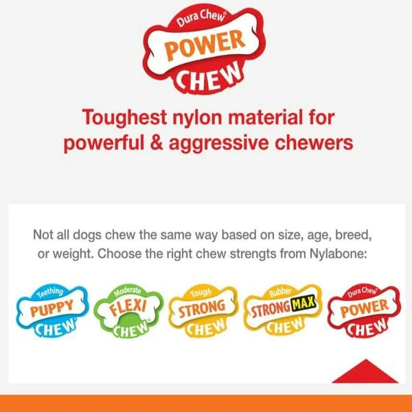 Nylabone PRO Action Dental Power Chew Durable Dog Toy - Image 3