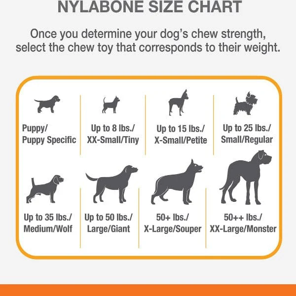 Nylabone PRO Action Dental Power Chew Durable Dog Toy - Image 4