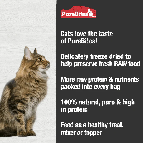 PureBites Freeze Dried Chicken Breast Cat Treat, 66g - Image 3