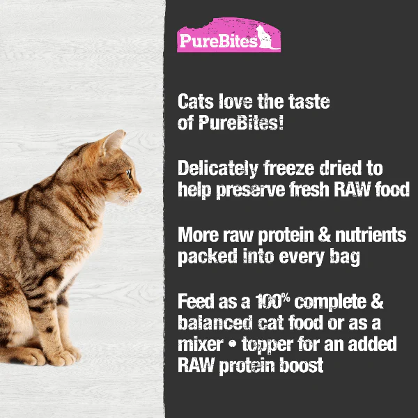 PureBites Salmon Freeze Dried Cat Food - Image 3