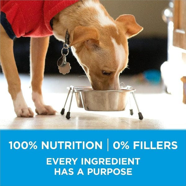 Purina ONE +Plus Small Breed Formula Adult Dry Dog Food, 1.81kg - Image 3