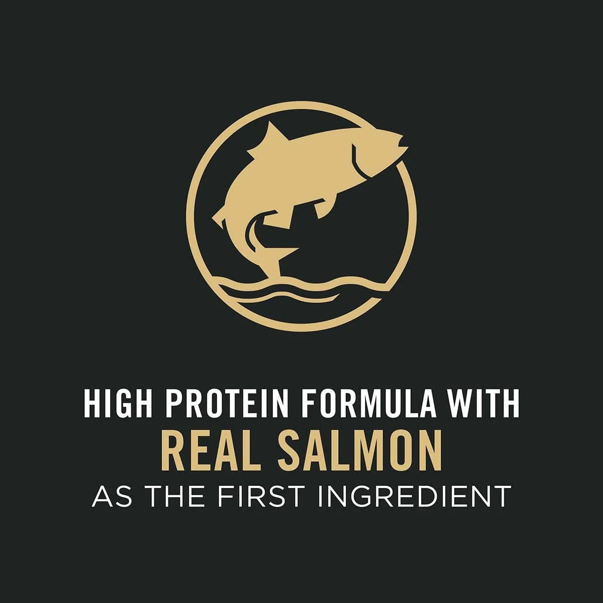Purina Pro Plan Adult Small Breed Sensitive Skin & Stomach Salmon & Rice Dry Dog Food - Image 3
