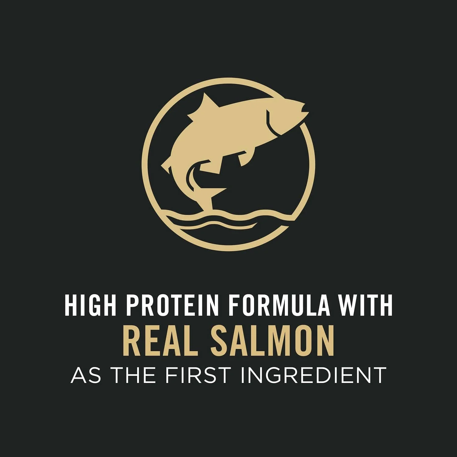 Purina Pro Plan Sensitive Skin & Stomach Salmon & Rice Dry Puppy Food - Image 3