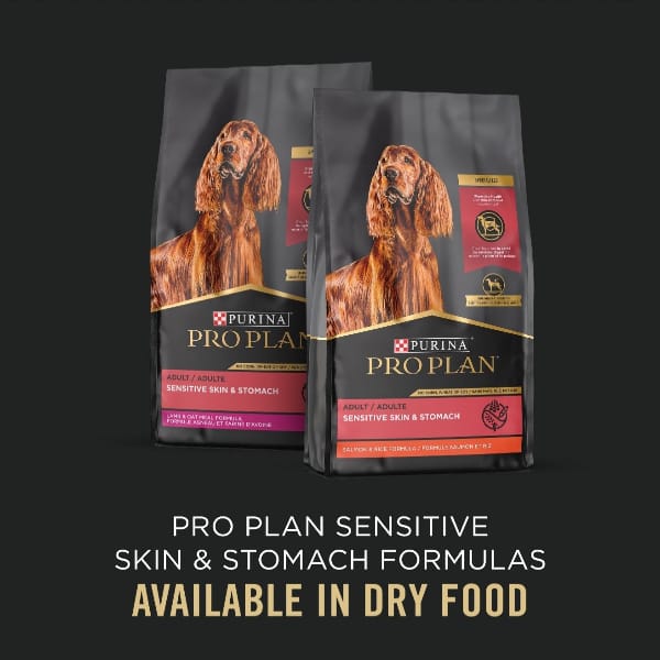 Purina Pro Plan Adult Sensitive Skin & Stomach; Salmon & Rice Entrée Canned Dog Food - Image 7
