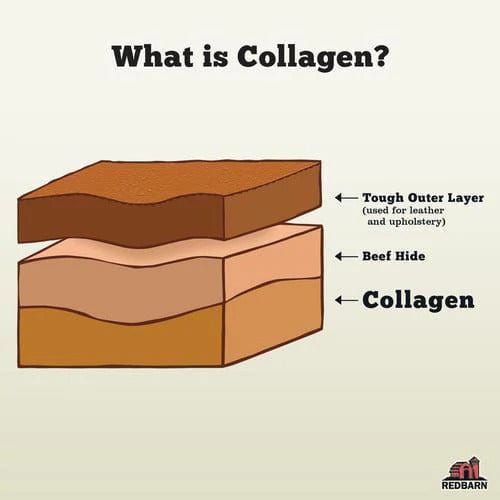 RedBarn Puffed Collagen Spring - Image 2