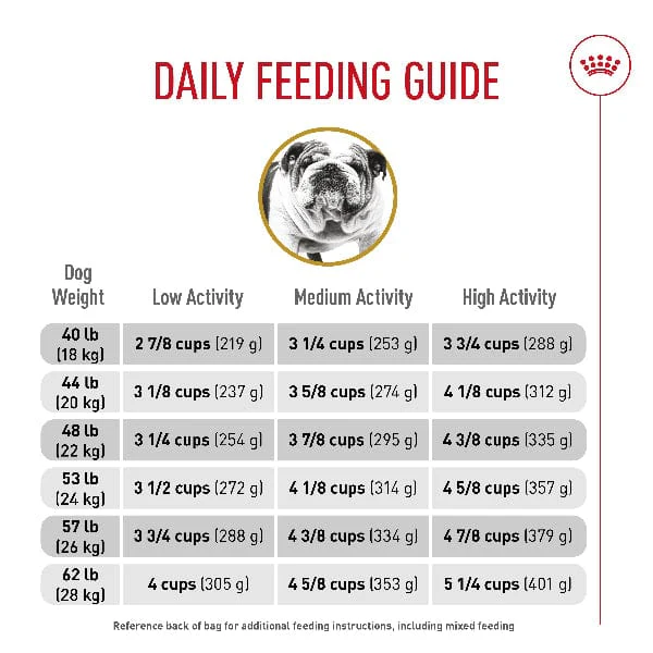 Royal Canin Bulldog Adult Dry Dog Food, 30lb - Image 5
