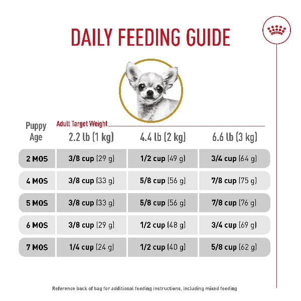 Royal Canin Chihuahua Puppy Dry Dog Food, 2.5lb - Image 5