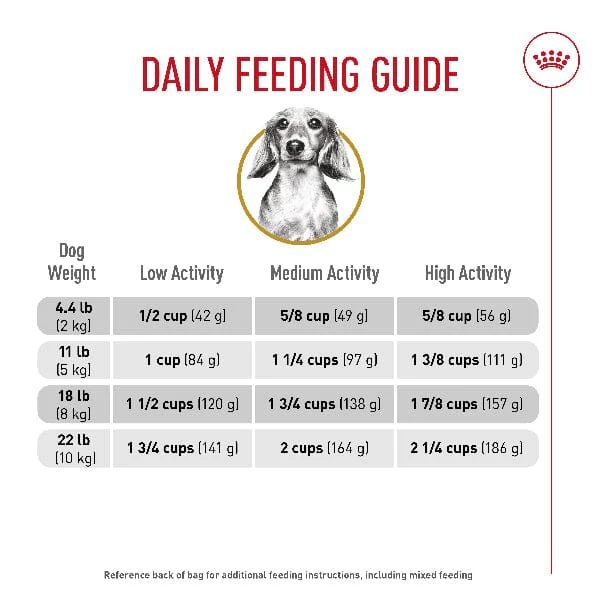 Royal Canin Dachshund Adult Dry Dog Food, 10lb - Image 5