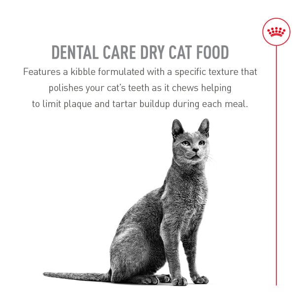 Royal Canin Dental Care Adult Dry Cat Food - Image 3