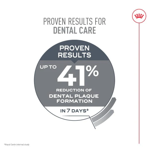 Royal Canin Dental Care Adult Dry Cat Food - Image 4