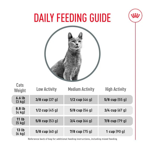 Royal Canin Dental Care Adult Dry Cat Food - Image 5