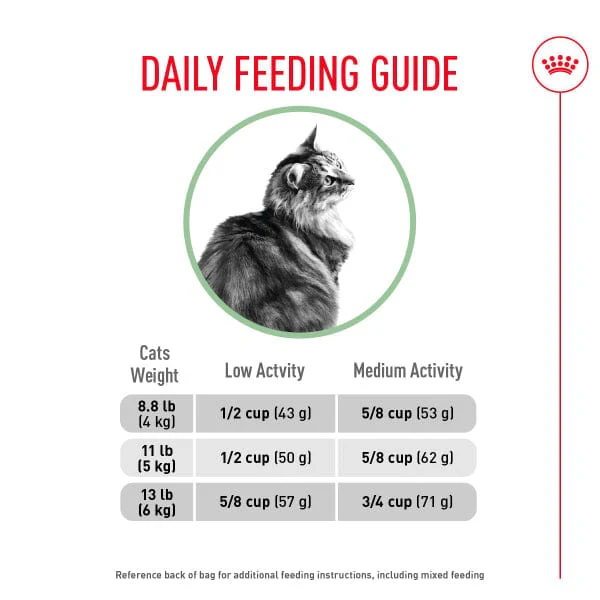 Royal Canin Digestive Care Adult Dry Cat Food - Image 5