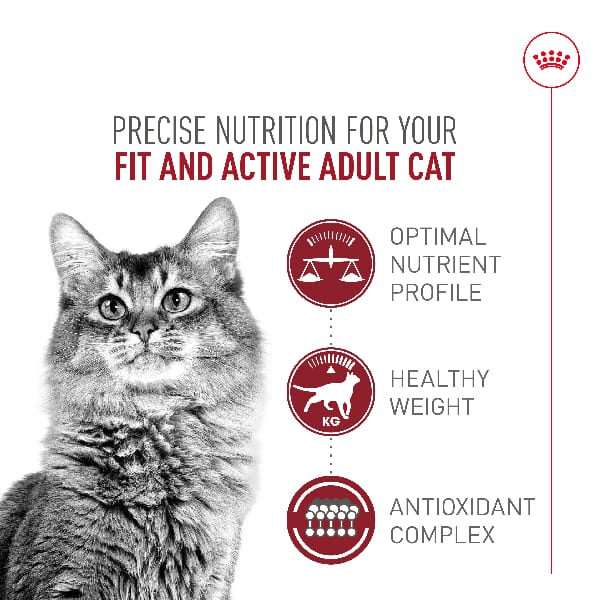 Royal Canin Fit & Active Adult Dry Cat Food, 7lb - Image 2