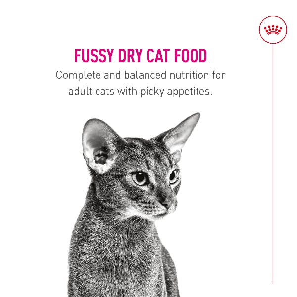 Royal Canin Fussy Cat Adult Dry Cat Food, 7lb - Image 3