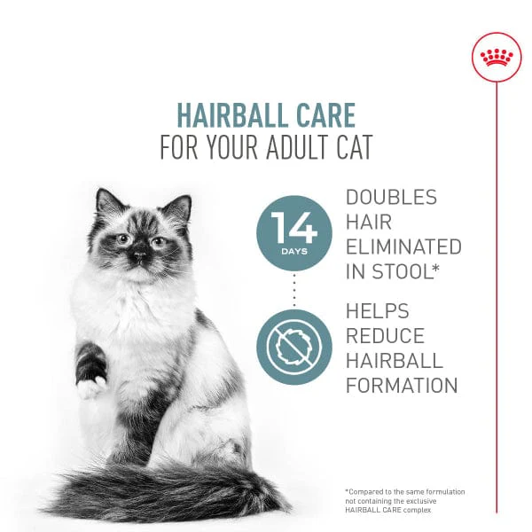 Royal Canin Hairball Care Dry Cat Food - Image 2