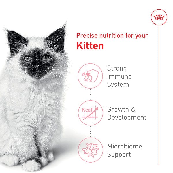 Royal Canin Kitten Dry Cat Food - Image 2