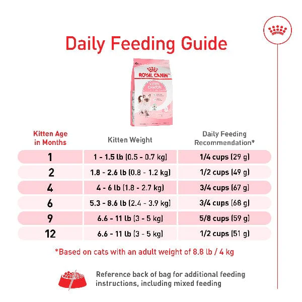 Royal Canin Kitten Dry Cat Food - Image 3