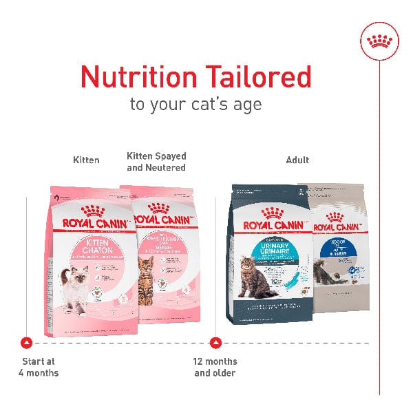 Royal Canin Kitten Dry Cat Food - Image 4