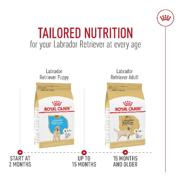 Royal Canin Labrador Retriever Adult Dry Dog Food, 30lb - Image 6