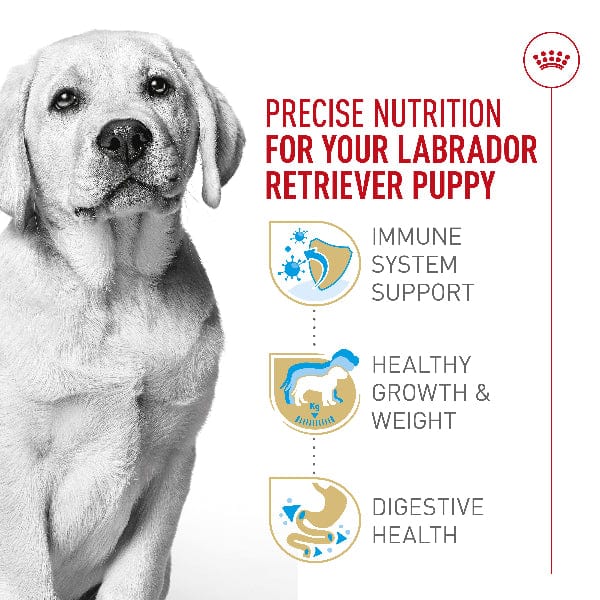 Royal Canin Labrador Retriever Puppy Dry Dog Food, 30lb - Image 2