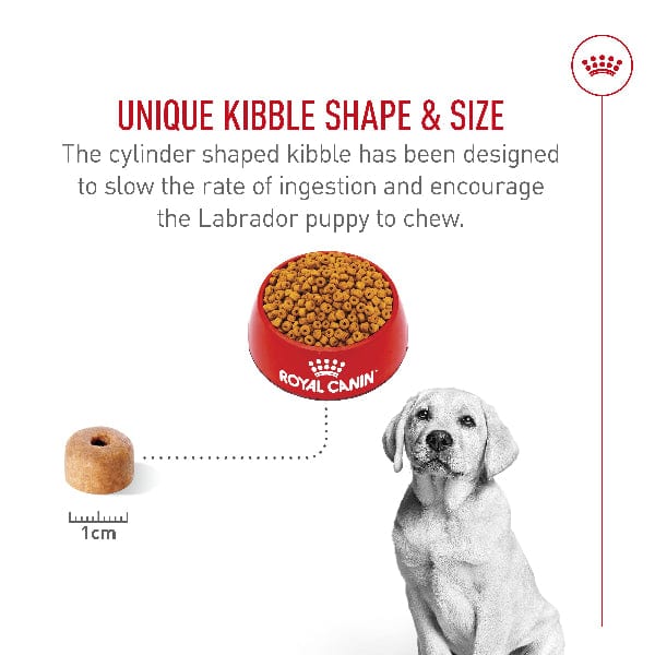 Royal Canin Labrador Retriever Puppy Dry Dog Food, 30lb - Image 4
