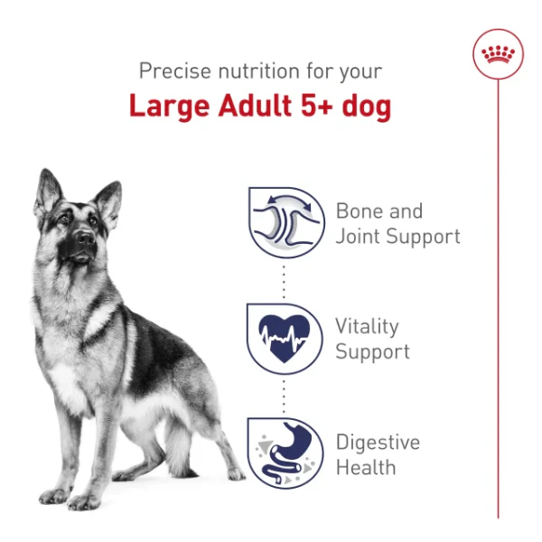 Royal Canin Large Adult 5+ Dry Dog Food, 30lb - Image 4