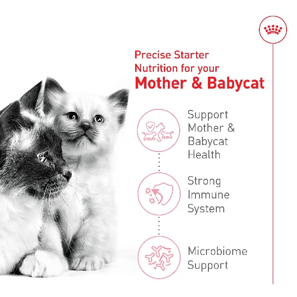 Royal Canin Mother & Babycat Dry Cat Food, 6lb - Image 2