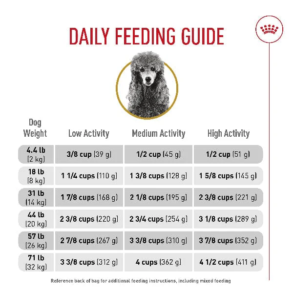 Royal Canin Poodle Adult Dry Dog Food - Image 5