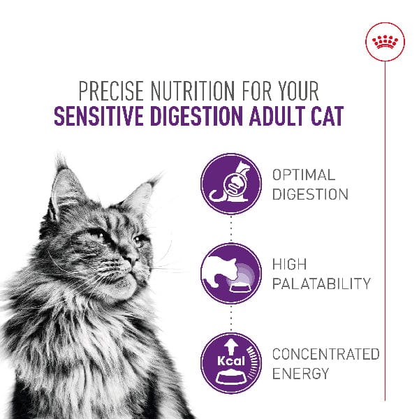 Royal Canin Sensitive Digestion Adult Dry Cat Food - Image 2