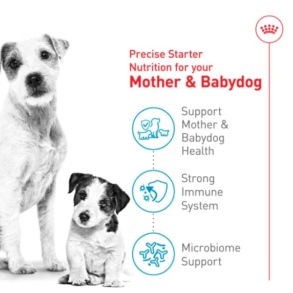 Royal Canin Small Starter Mother & Babydog Dry Dog Food, 2.5lb - Image 2