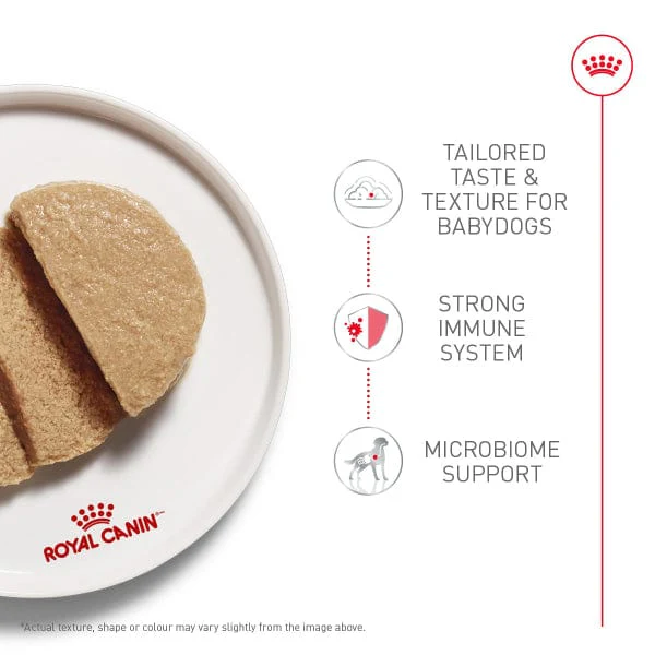 Royal Canin Starter Mother & Babydog Mousse in Sauce Canned Dog Food, 145g - Image 2