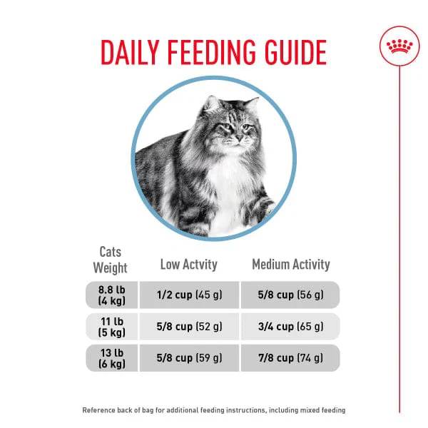 Royal Canin Urinary Care Dry Cat Food - Image 5
