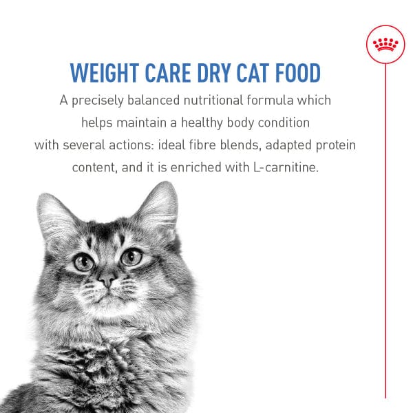 Royal Canin Weight Care Adult Dry Cat Food - Image 3