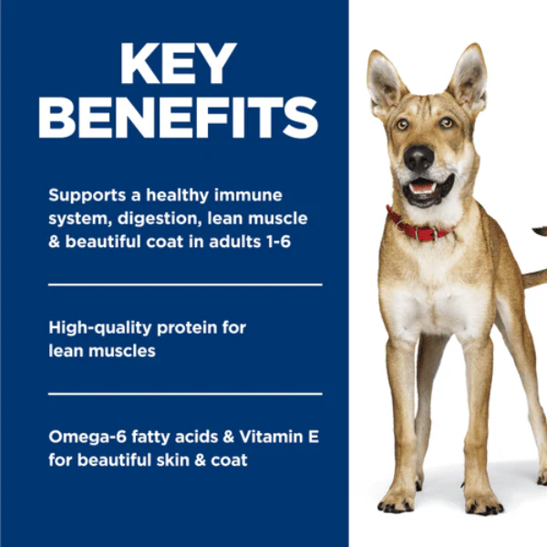Science Diet Chicken & Barley Entree Adult Canned Dog Food, 13oz - Image 3