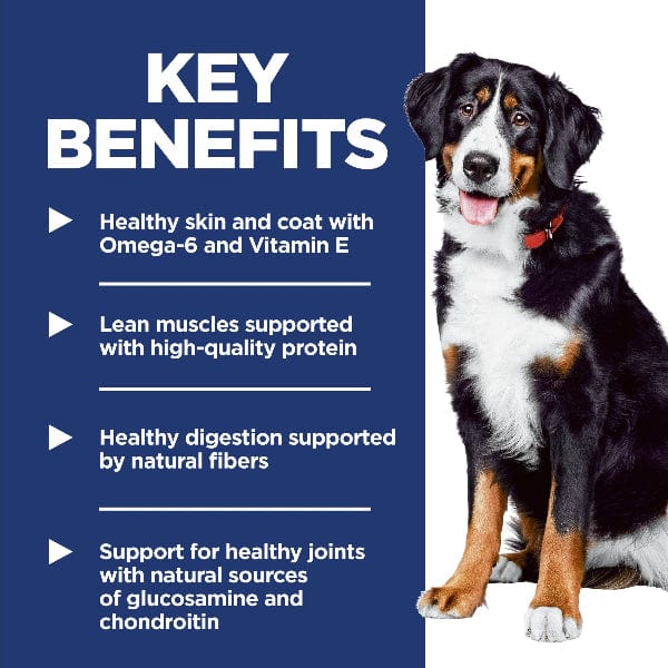Science Diet Adult Large Breed Chicken & Barley Recipe Dry Dog Food, 35lb - Image 3