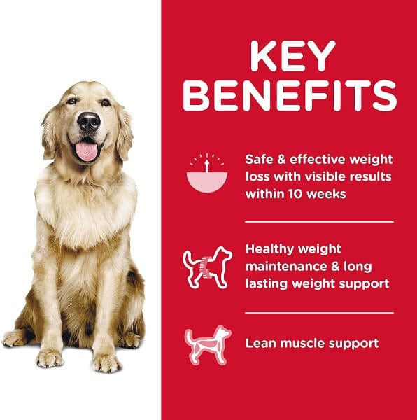 Science Diet Adult Perfect Weight Chicken Recipe Dry Dog Food - Image 2