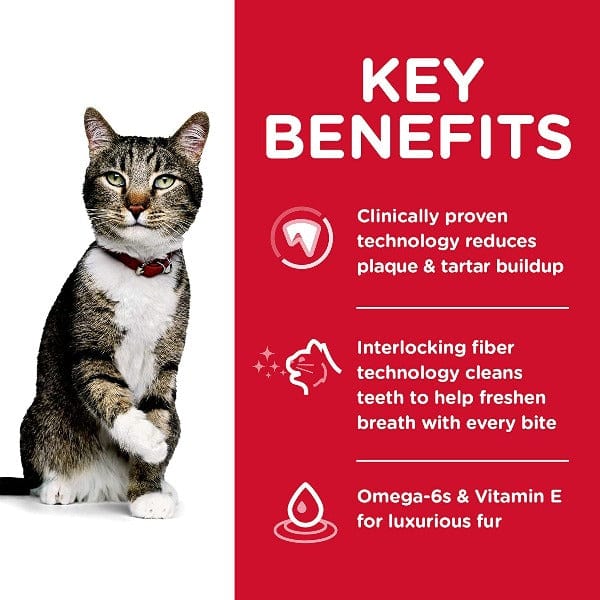 Science Diet Adult Oral Care Chicken Recipe Dry Cat Food - Image 2
