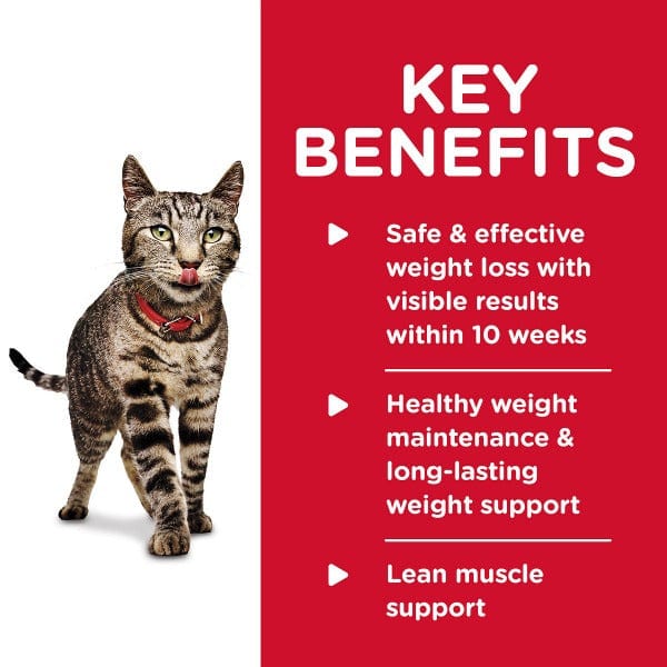 Science Diet Perfect Weight Roasted Vegetable & Chicken Medley Adult Canned Cat Food, 2.9oz - Image 3