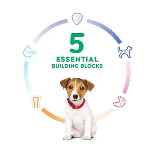Science Diet Puppy Small Bites Chicken & Brown Rice Recipe Dry Dog Food - Image 4