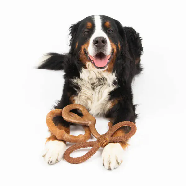 Silver Paw Bambooz Recycled Bamboo Fiber Dog Toys 3-Pack; Large - Image 2
